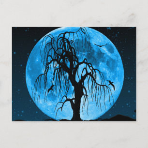 Noite Assustadora de Halloween com Cartão Postal d