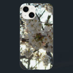 Noite de Cherry Blossoms II Primavera Sunset<br><div class="desc">Esta é uma foto de flores de cereja à noite, tirada do sol da árvore em frente à nossa casa. Esta é a segunda em uma série de duas. Veja nossa loja mais fotos bonitas de flores delicadas de cereja. Esta imagem também é apresentada como o papel de parede panorâmico...</div>