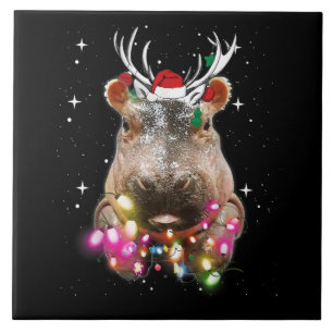 Noite de Natal Hippo Fiona Hippopotamus Lover