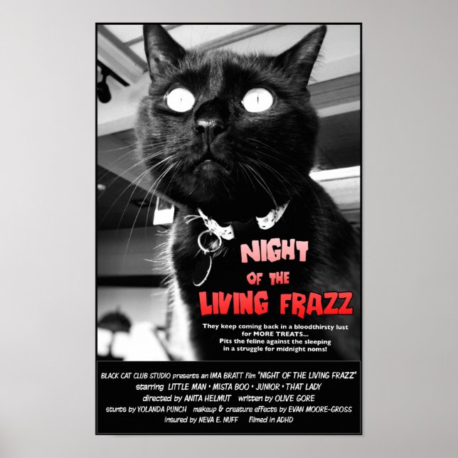 Noite do Frazz Vivo! Cat Horror Movie Poster (Frente)