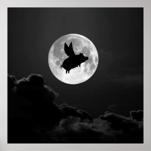noite do porco do vôo - 20" x 24" poster