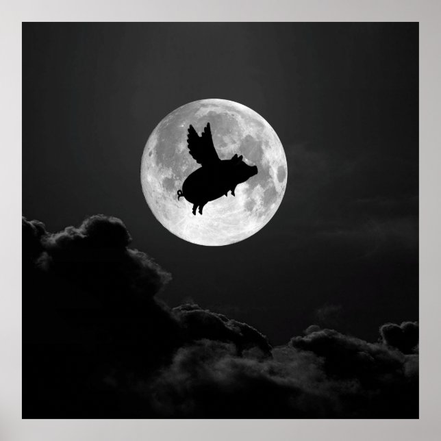 noite do porco voador - poster de 20" x 24" (Frente)