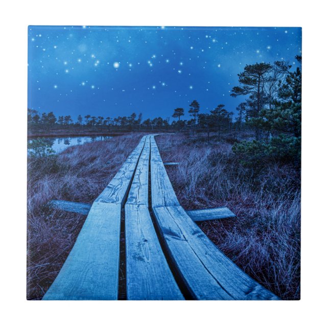 Noite dos pântanos (Frente)