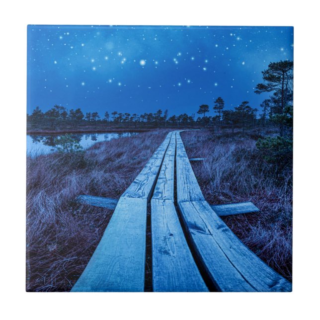 Noite dos pântanos (Frente)