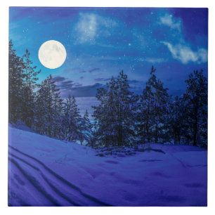 Noite estrelada com lua de cheio na floresta