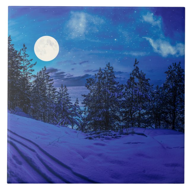 Noite estrelada com lua de cheio na floresta (Frente)