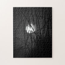 Noite na Quebra-cabeça Pond