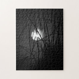 Noite na Quebra-cabeça Pond