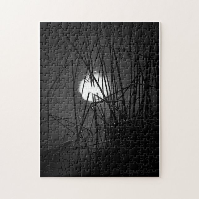 Noite na Quebra-cabeça Pond (Vertical)