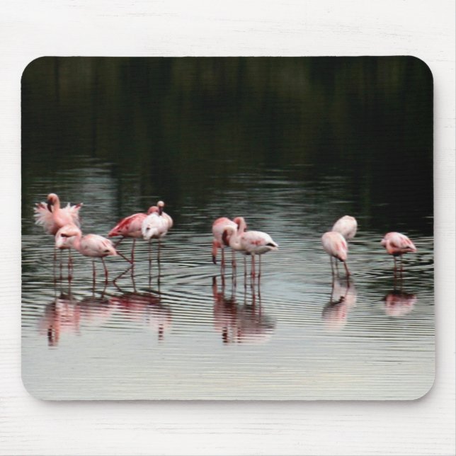 Noite no lago - Mousepad (Frente)