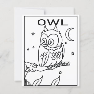 NOITE OWL