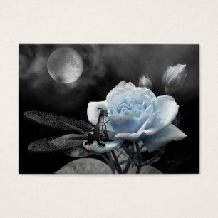 Noites Enchanted