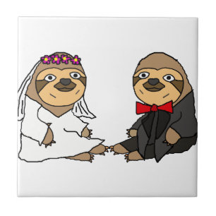 Noiva Engraçado e Casamento de Noite