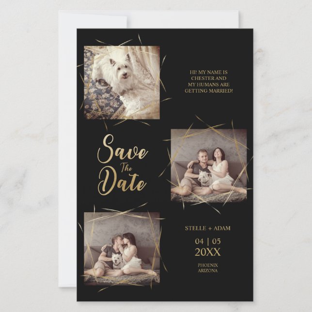 Noivado de Fotografias Modernas e Baratas  (Frente)