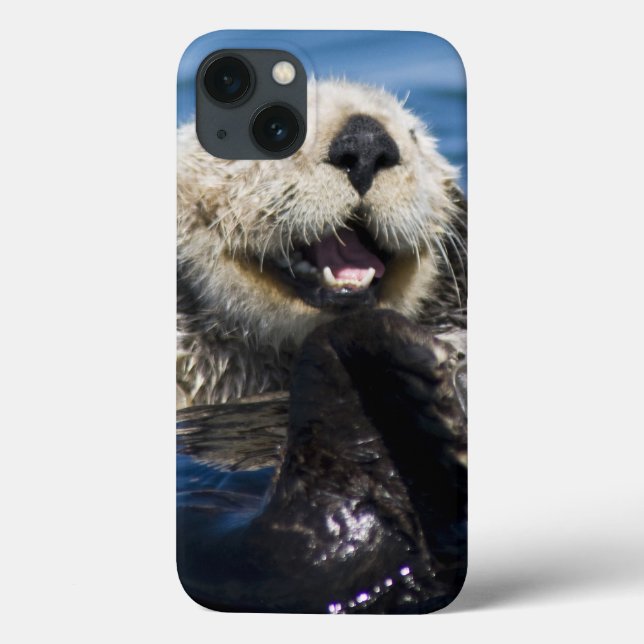 Noivos dos lutris do Enhydra da lontra de mar de (Verso)