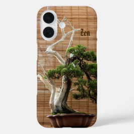 Nome da Foto da Árvore Chinesa Juniper Bonsai