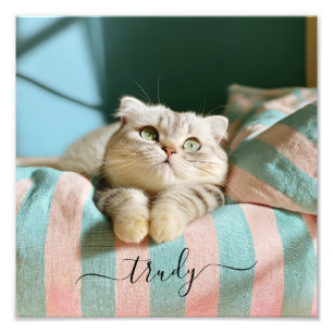 Nome de Gato Fofo Foto 10x10