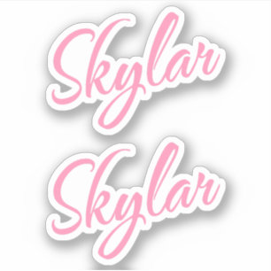 Nome decorativo Skylar no adesivo x2 rosa