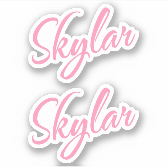 Nome decorativo Skylar no adesivo x2 rosa (Frente)