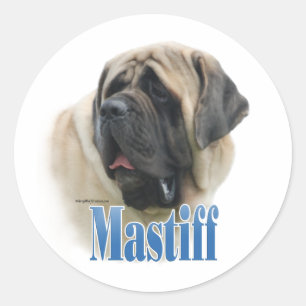 Nome do Mastiff da jovem corça - etiqueta