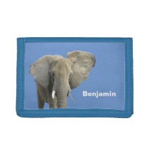 Nome do Menino Personalizado de Foto do Elefante
