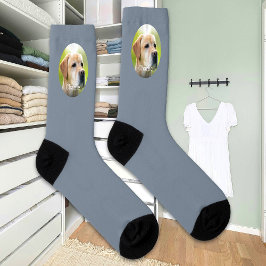 Nome Personalizado Cat Dog Foto Moderna Personaliz