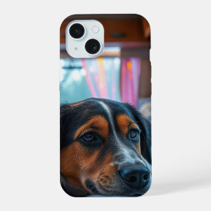 Nome: Sonhos do Cão Adormecido