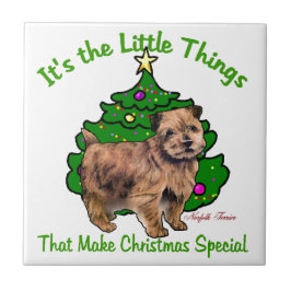 Norfolk Terrier Natal