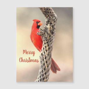 Norte Feliz de Natal Magneta Cardinal