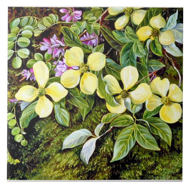 Norte - Flores de um Dogwood e de um Indigo (Frente)