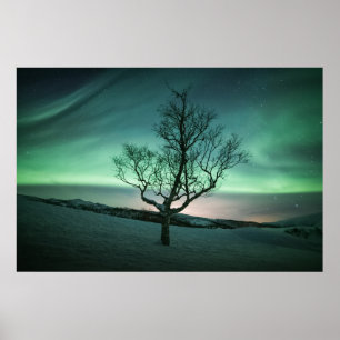 Norte Lights Norway Poster