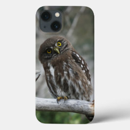 Norte Pygmy Owl iPhone 13 Case