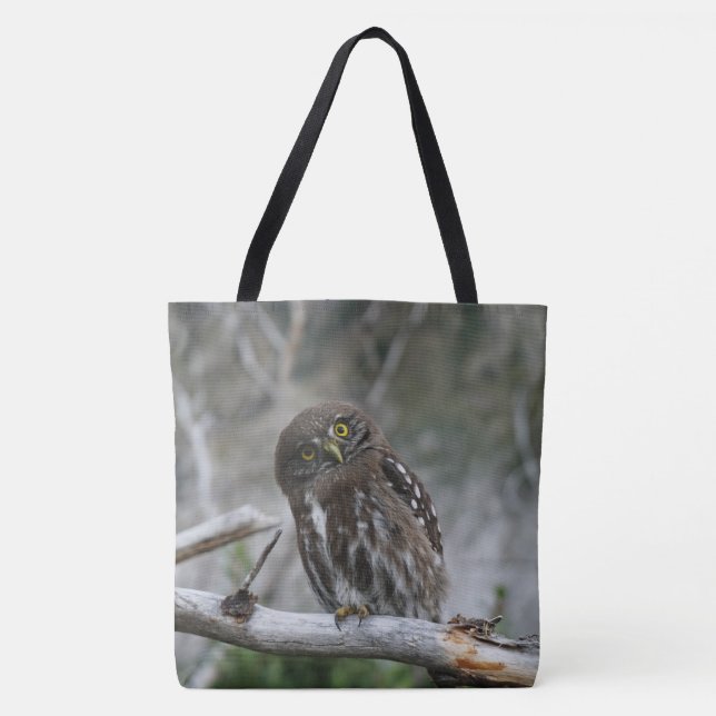 Norte Pygmy Owl Tote Bag (Frente)