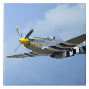 North American P-51D Mustang, Little Horse