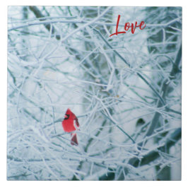 Northern Cardinal on Snowy Branches