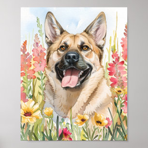 Norueguês Elkhound Watercolor Dog Poster Art