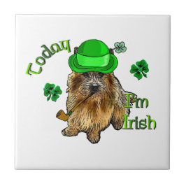 Norwich Terrier St Patricks