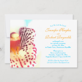 Nós Amarramos O Anúncio De Elopemento De Praia De 