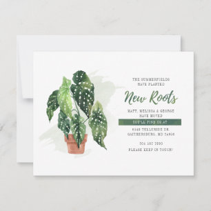 Nós movemos novas raízes plantadas movendo anúncio