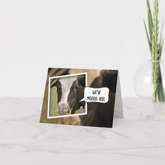 Nós mudamos o anúncio com a Vaca (Frente)