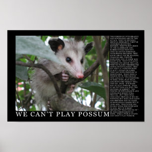 Nós não podemos jogar o poster do gambá