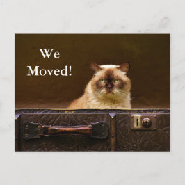 Nós nos mudamos! Anúncio de novo endereço gato na