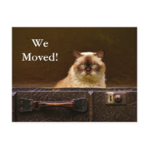 Nós nos mudamos! Anúncio de novo endereço gato na 