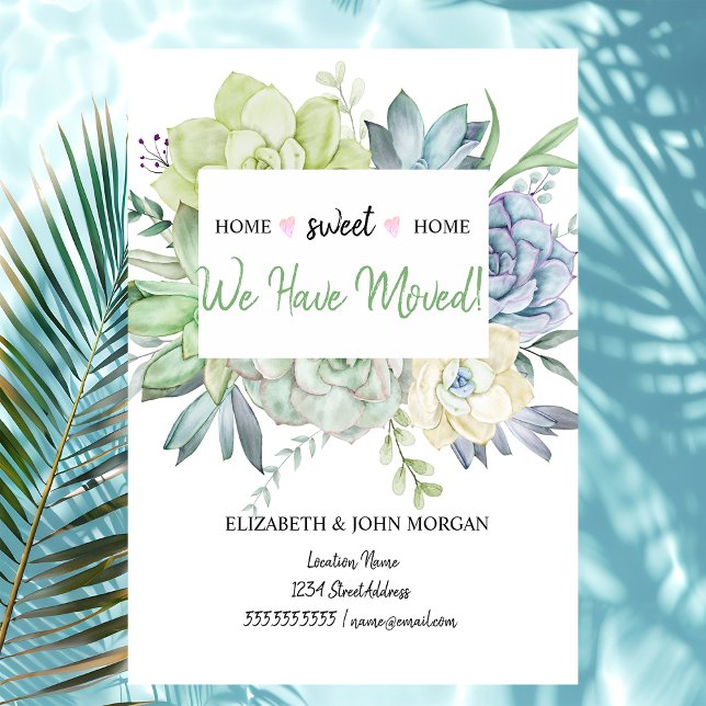 Nós Nos Mudamos, Bolinhas De Suculentos Cactus (Criador carregado)