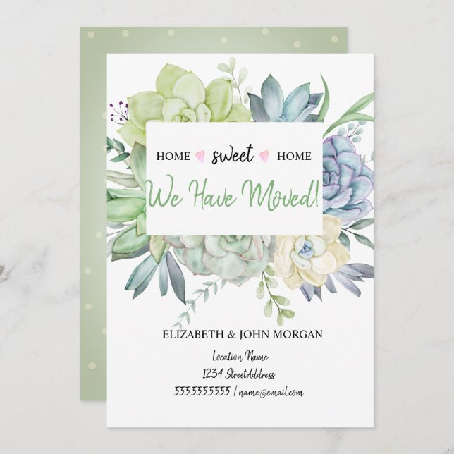 Nós Nos Mudamos, Bolinhas De Suculentos Cactus (Frente/Verso)