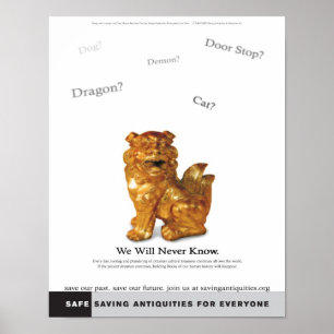 Nós nunca saberemos o poster