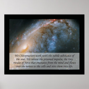 Nós, quiroprático, citamos Poster