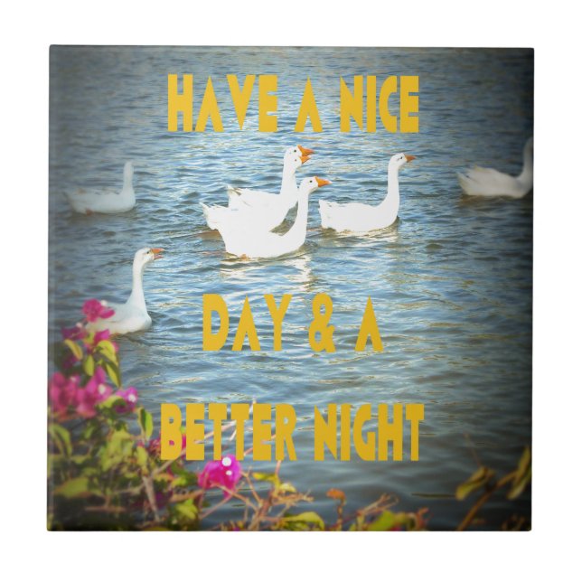 Nós sempre deixamos nossos clientes felizes e sati (Frente)