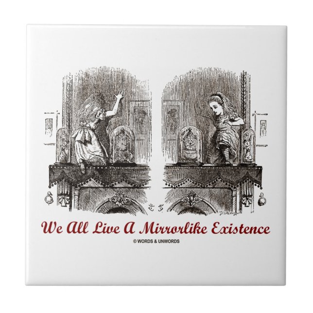 Nós todos vivemos uma existência Mirrorlike (o (Frente)