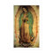 Nossa Senhora de Guadalupe Framable Poster